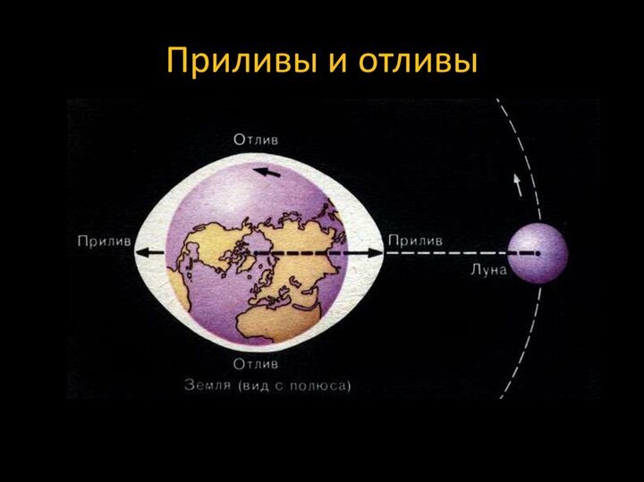 Почему образуются приливы и отливы?