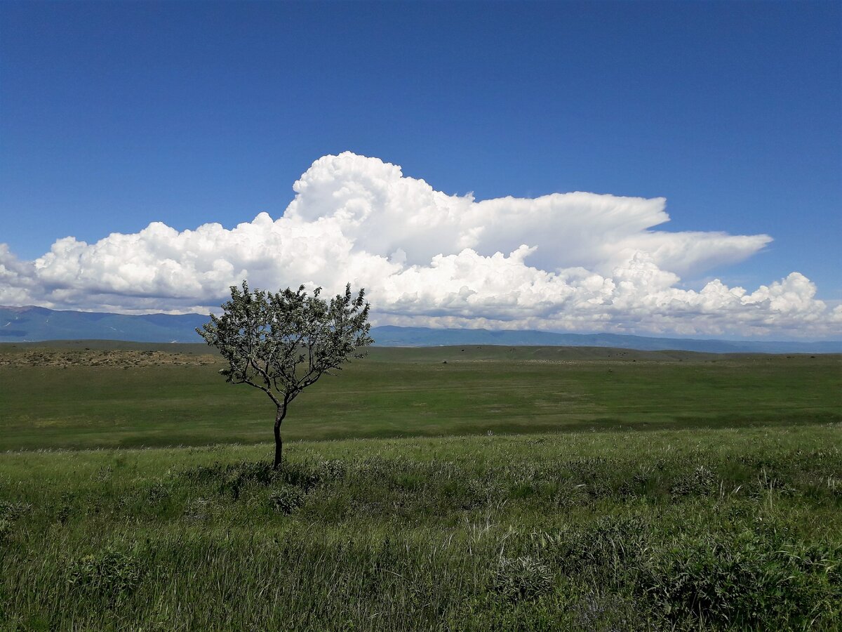 По пути в Давид Гареджи. Район Сагареджо.                                              photo Natasha Mazurina
