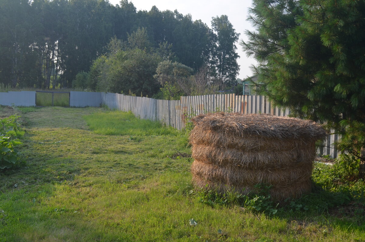 Поле деятельности. Кошу траву