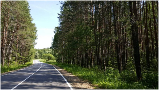 Фото с сайта: https://otdoxnite.ru/wp-content/uploads/2017/07/2017-07-15-11-11-35-850x478.jpg