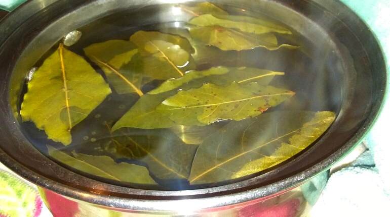 Фото из интернета.