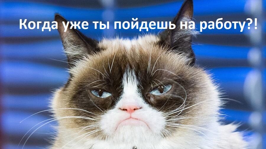 Коллаж мой. фото с https://s.yimg.com/ny/api/res/1.2/482P_5.xzeRE4H8JuqO4GQ--/YXBwaWQ9aGlnaGxhbmRlcjt3PTEyODA7aD03MTkuNjQ0NDQ0NDQ0NDQ0NA--/https://s.yimg.com/uu/api/res/1.2/k4lw5xVNNzFmbPMoKuGSlA--~B/aD01MDY7dz05MDA7c209MTthcHBpZD15dGFjaHlvbg--/http://media.zenfs.com/en-US/video/video.sugar.com/9bb25cb0bafbb8cd819a8800c7220db3