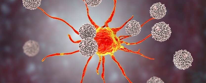 Подпишись на канал Ставь лайк