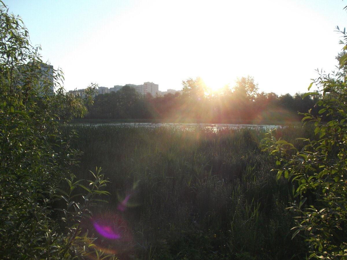 Природа у нашего ЖК красивая