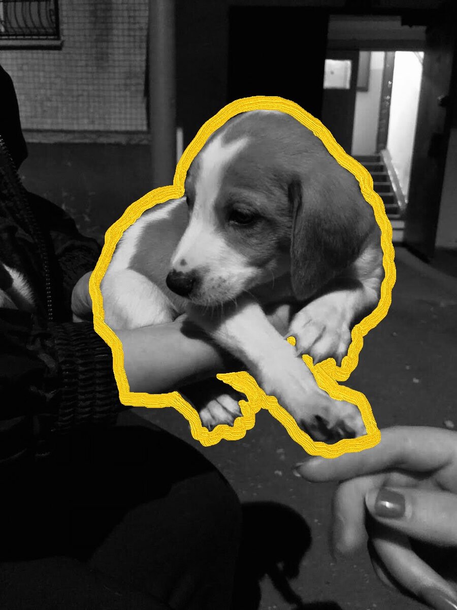 Первая встреча