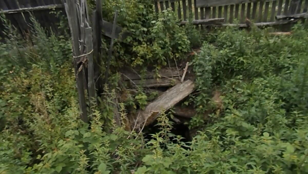 Вот так выглядел "соседский колодец". Через пару месяцев его засыпали.