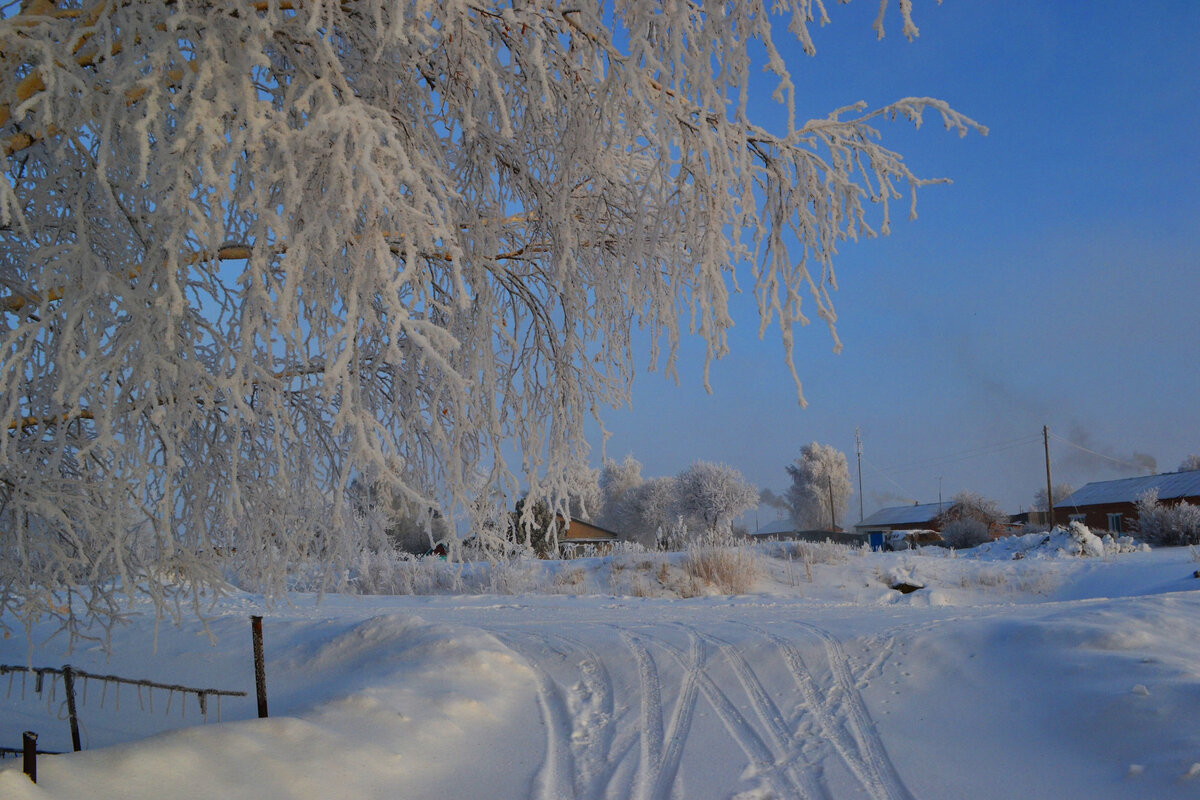 Нижнекаменка алтайский край фото