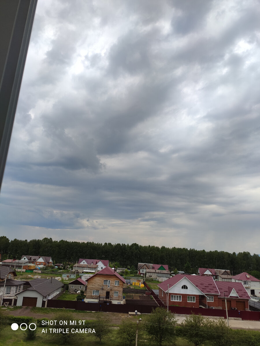 Утро сегодня