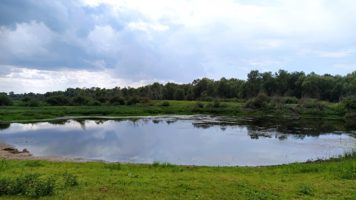 Небольшое озеро за городом 