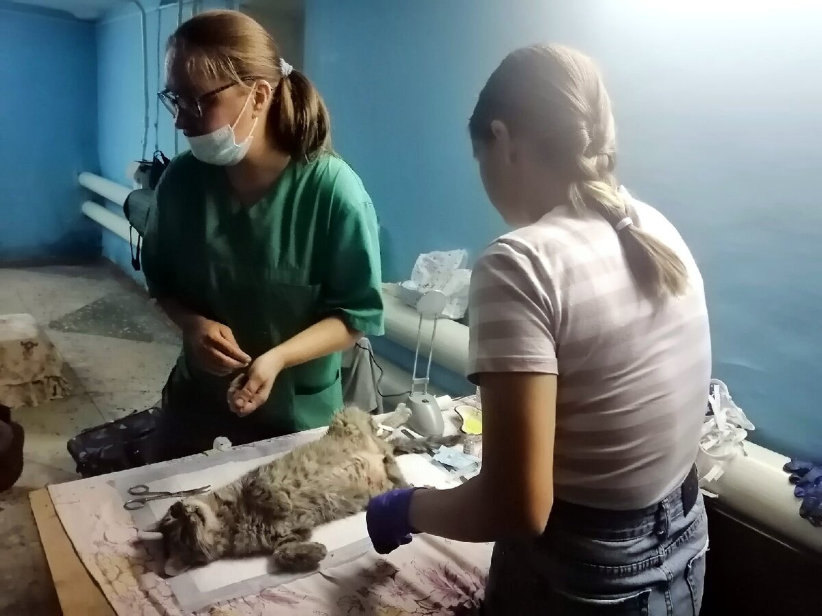 Сейчас начнут. И что бв не произошло потом - остановиться и вернуться назад будет уже нельзя. Только вперед.