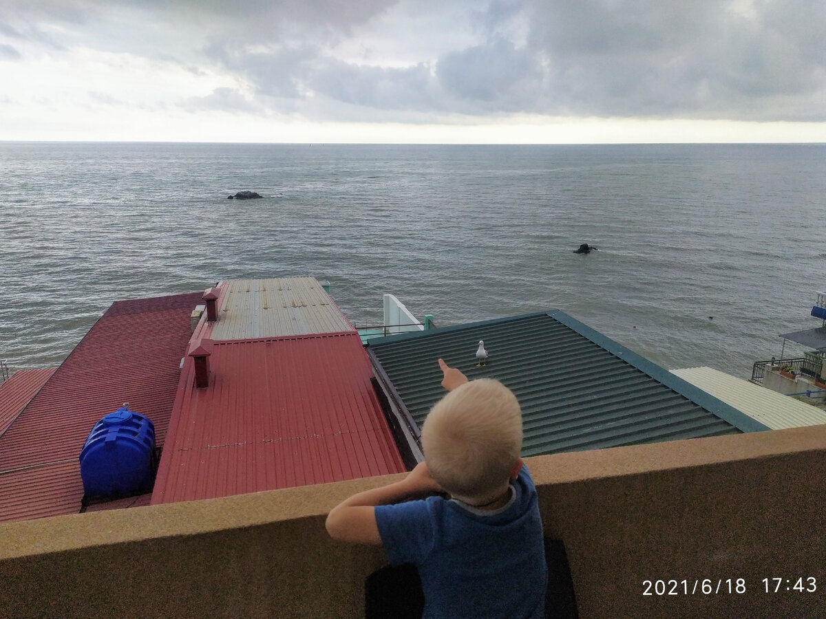 У того камня в море регулярно плавали дельфины. п. Утес, Крым