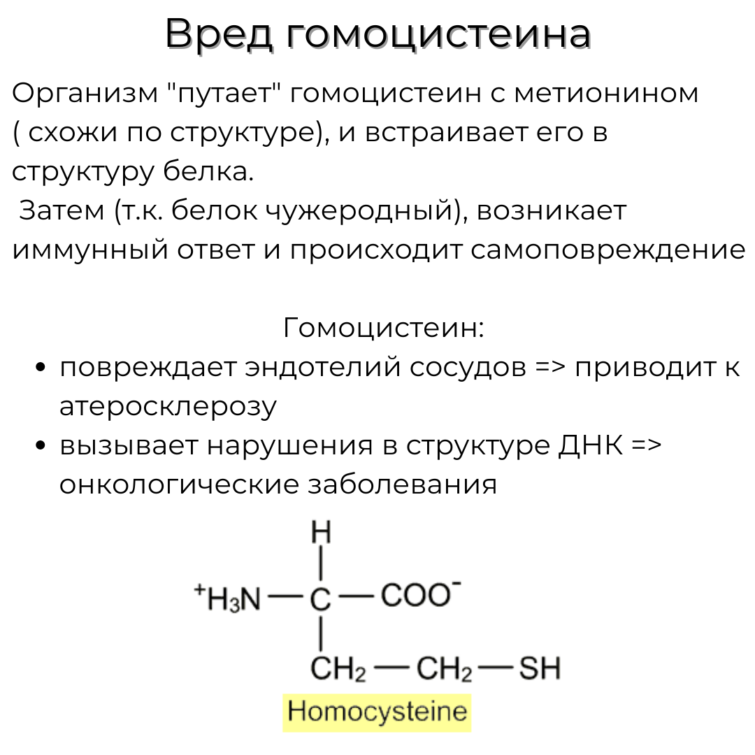 Гомоцистеин анализ