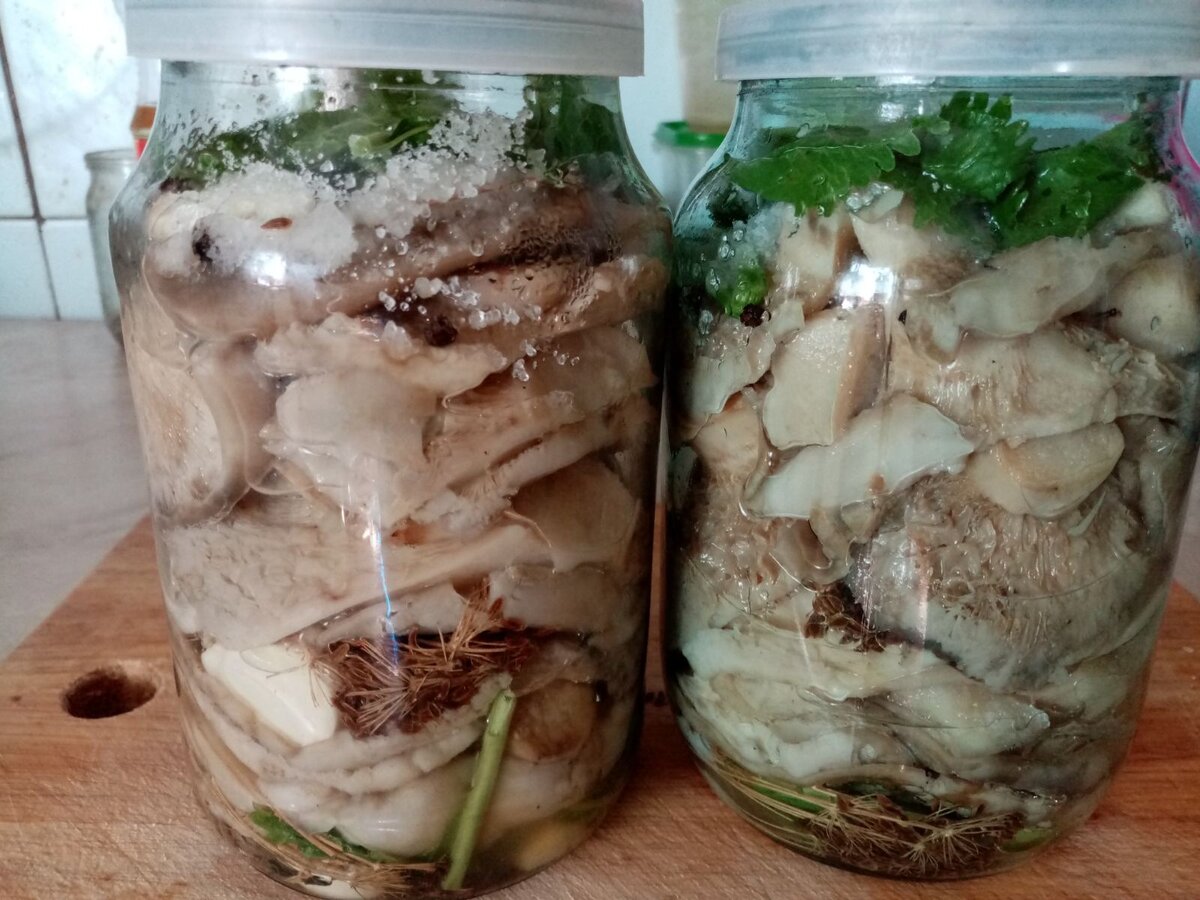 Как солить сухие грузди горячим способом. Горькушки соленые. Рыжики соленые. Рыжики засолка горячим способом пошаговый рецепт.