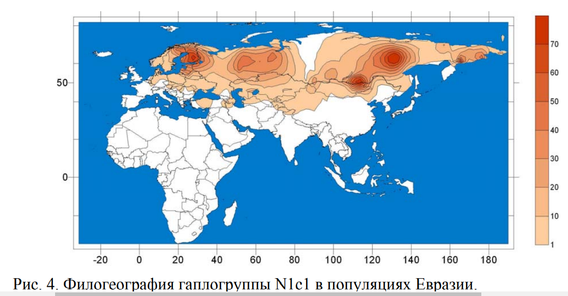 Карта n 1. Гаплогруппа n3a3. Гаплогруппа n1c карта. Гаплогруппы карта n1c1. Гаплогруппа r1a1 внешность.