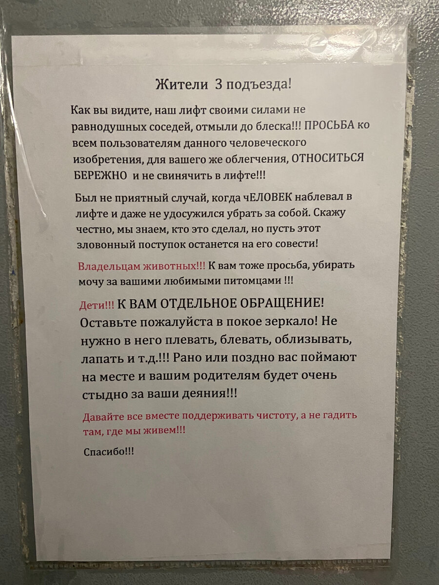 Оставьте в покое зеркало! Лифт с просьбой. Пицца с историей. Курьер на  буднях | Будни Курьера | Дзен