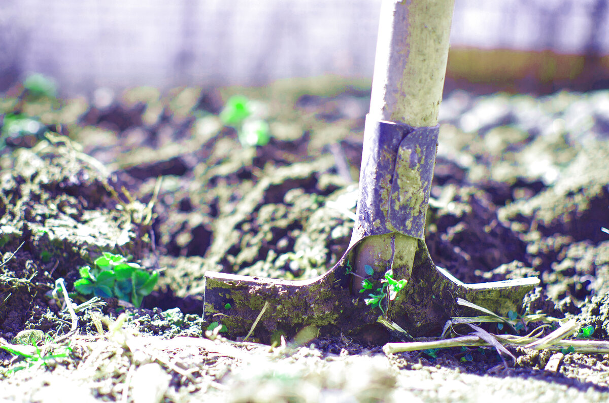 Перекопка занимает много времени