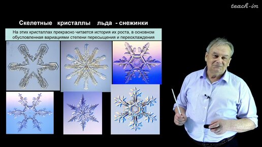 Спиридонов Э. М. - Генетическая минералогия - 8. Специфические формы кристаллов - скелетные