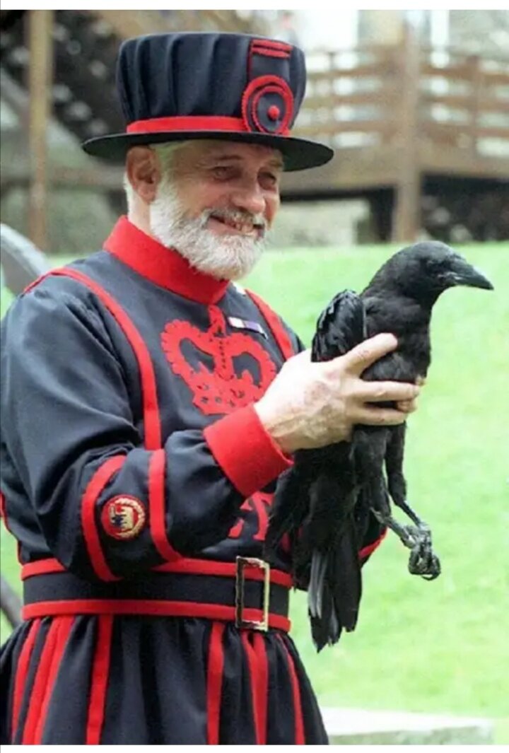 The ravens are the unique guardians