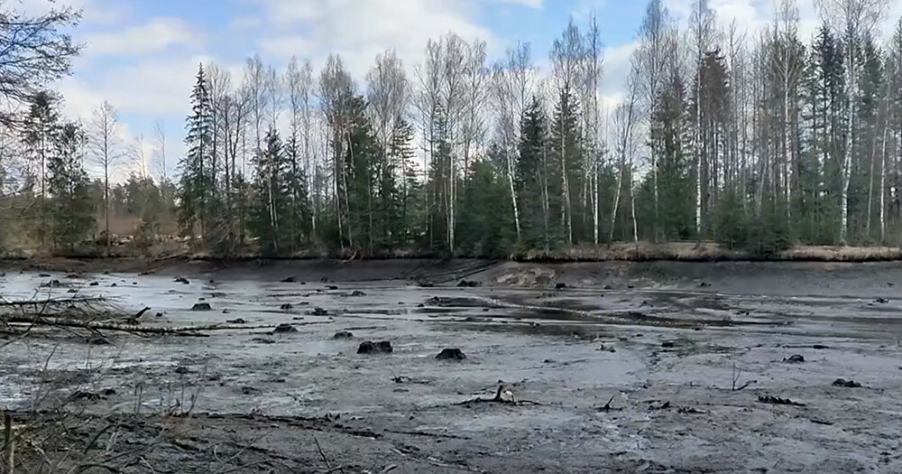 ФОТО: скриншот