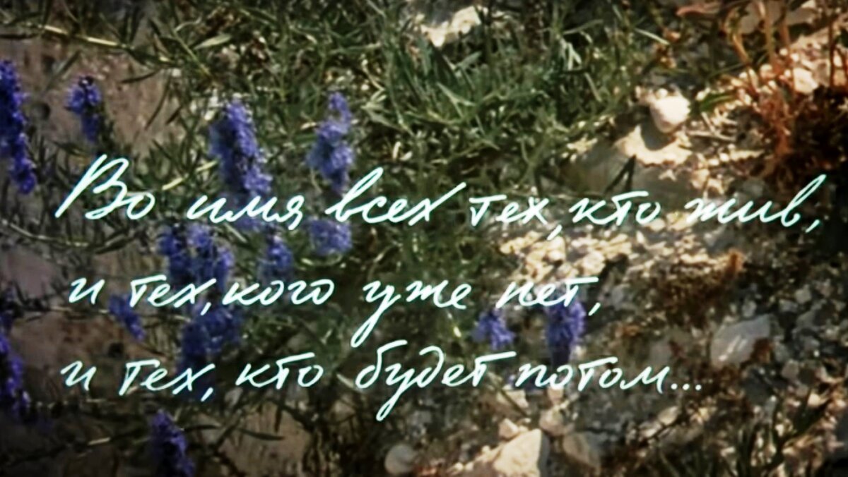 Скриншот автора. Этот эпиграф был девизом всех тех, кто не жалел своих жизней во время страшной войны... 