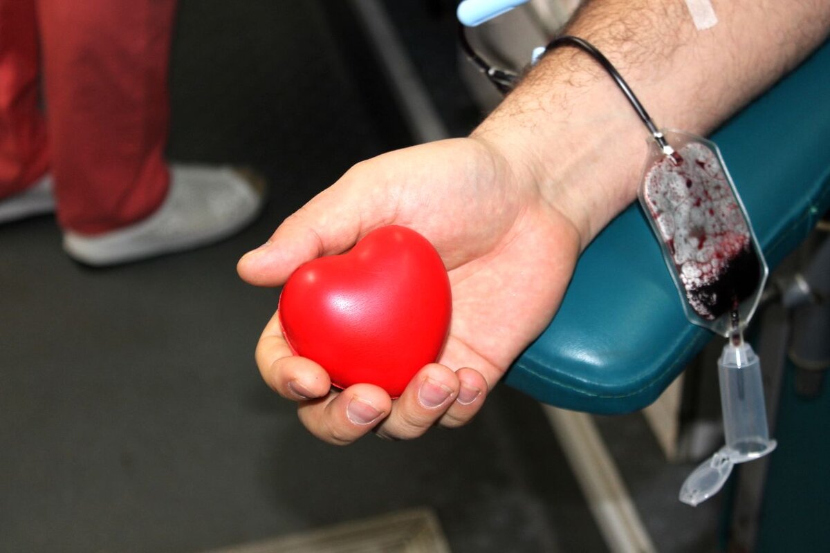 Источник: Яндекс картинки 