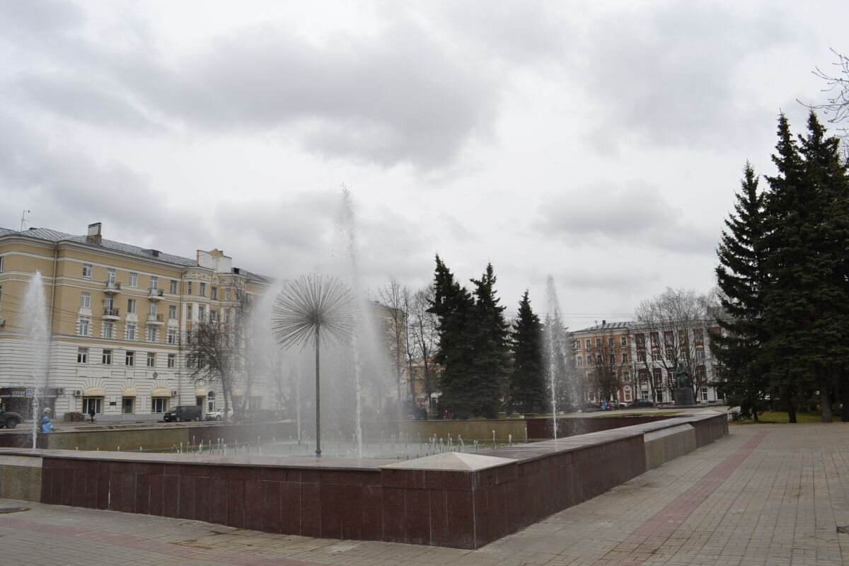    Роспотребнадзор призвал жителей Тверской области не купаться в фонтанах