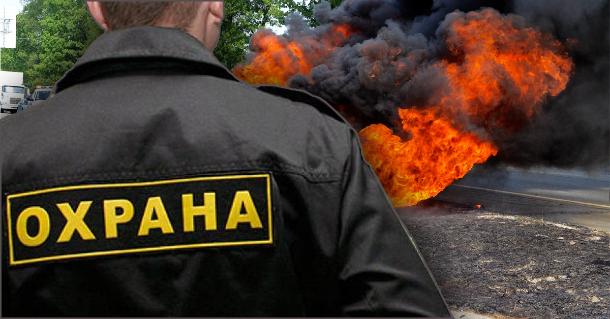 Яндекс картинки. Коллаж автора.