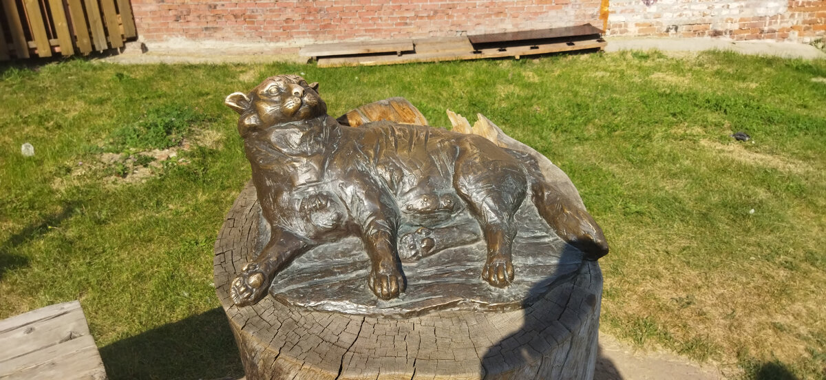 Кот Казанский