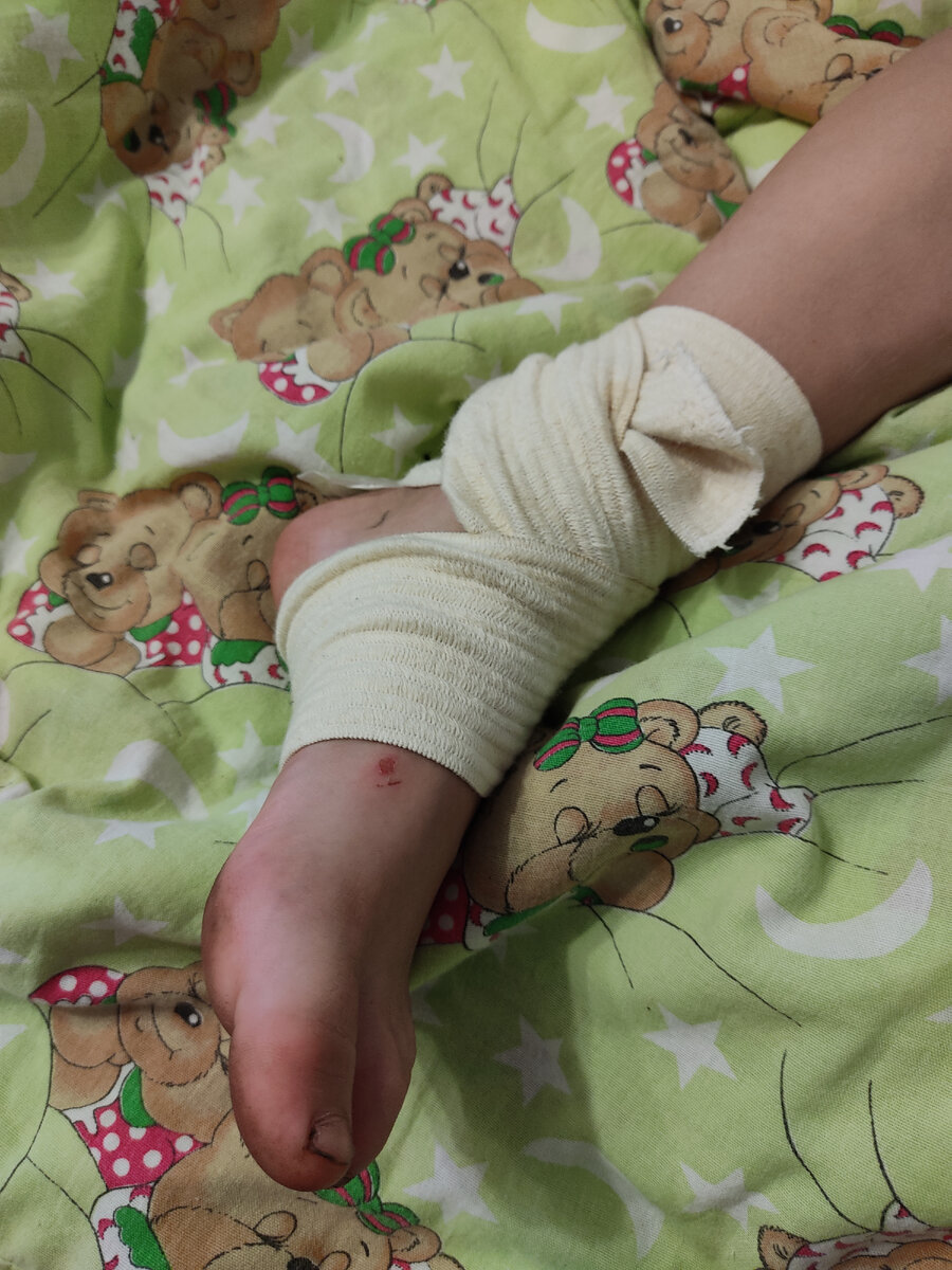 Фото автора. 