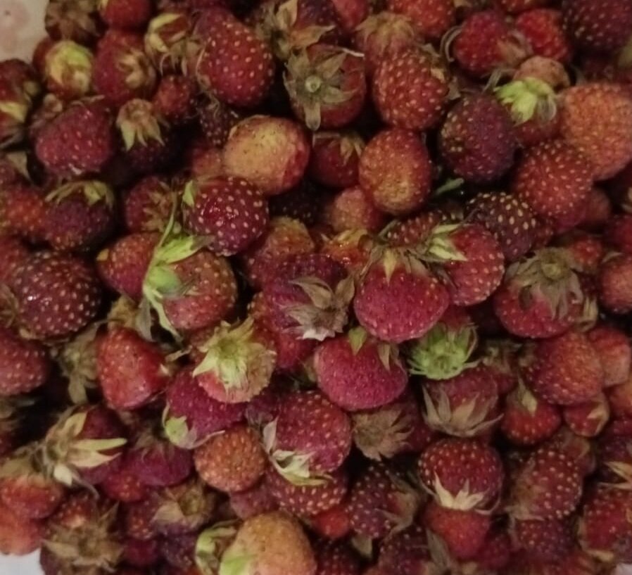 Ягоду можно. И варенье можно