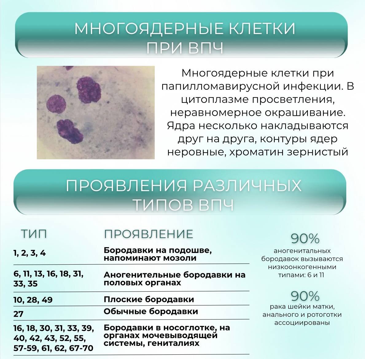 Папиломы вирус передается от человека к человеку. Разновидности бородавок. Как избавиться от вируса папилломы человека. Вирус папилломы человека виды бородавок.