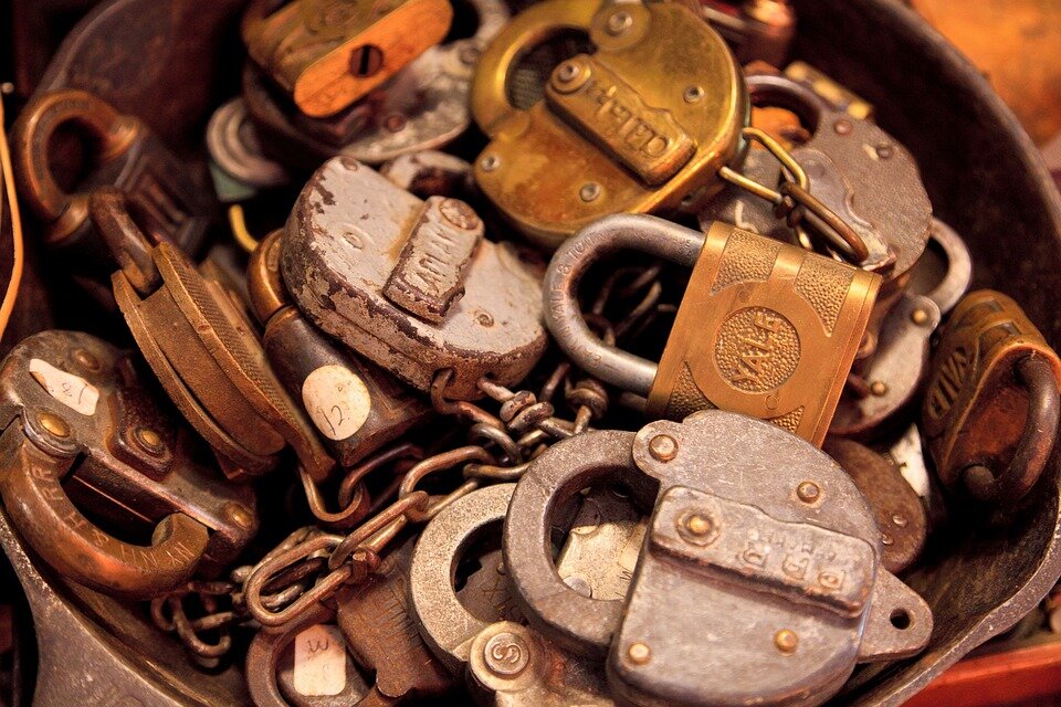 Изображение из открытого источника. Pixabay