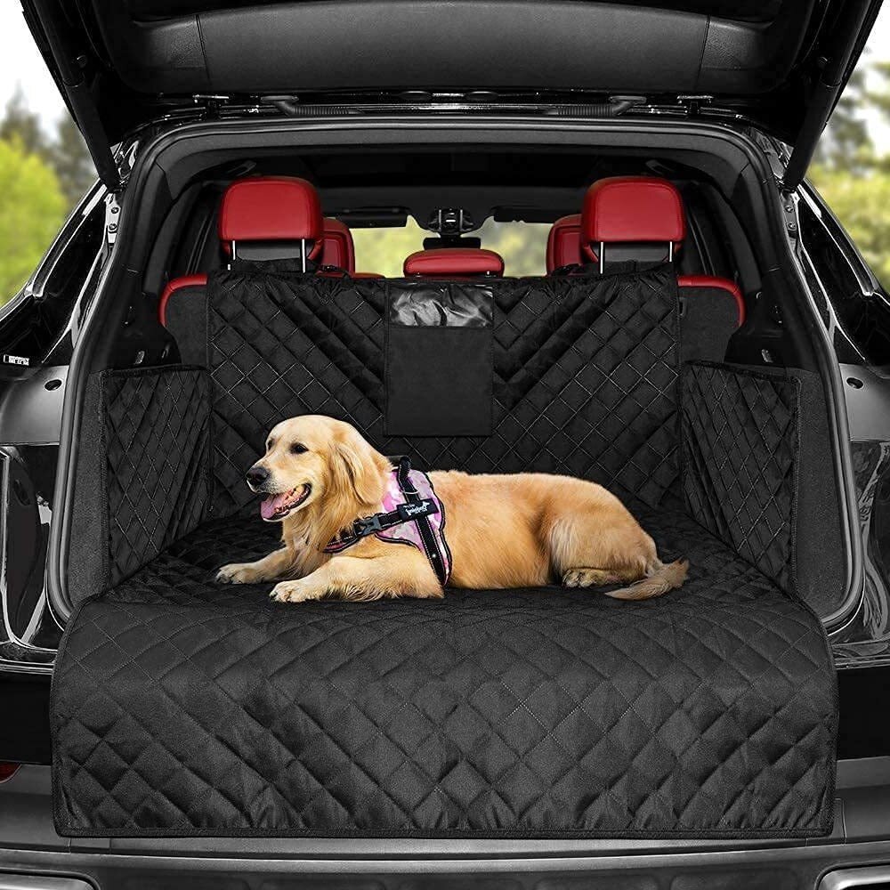 Перевозка собак и кошек