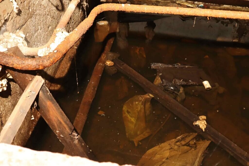 Фото : Народный фронт Кировская область