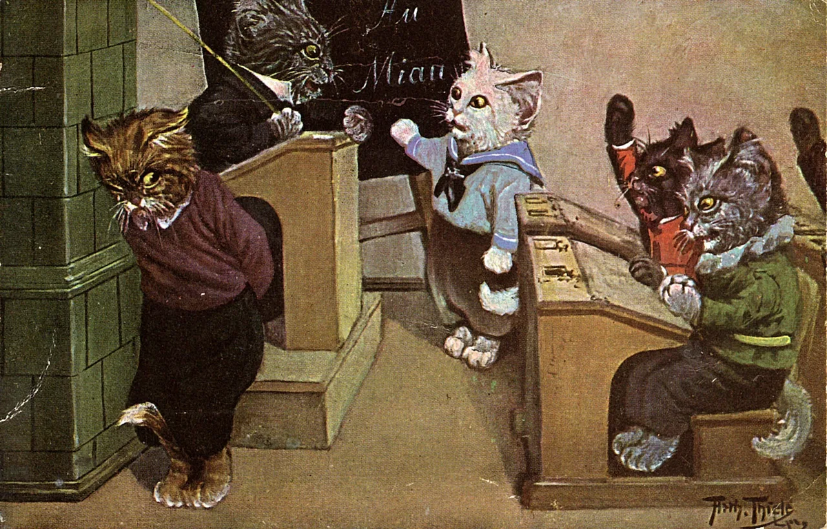 Фото с сайта ВКонтакте