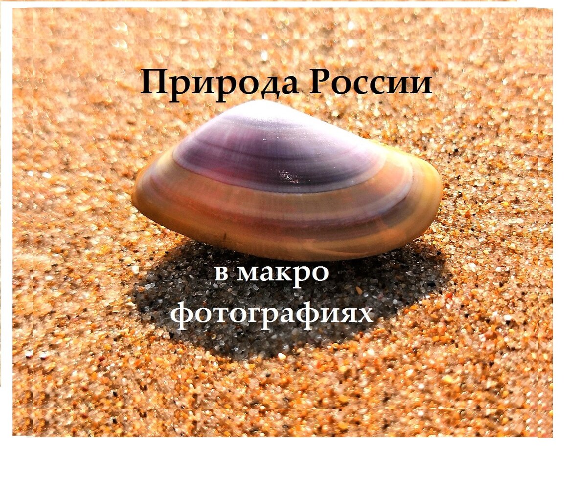 Мой новый канал