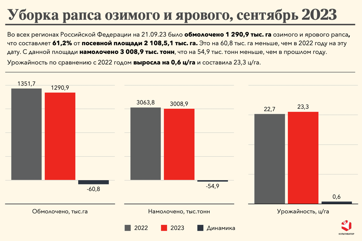 Уборочная 2023: гречиха в отстающих, рис опережает, свекла берет  урожайностью | Культиватор | Канал про агробизнес | Дзен