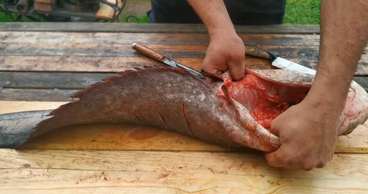 Сом холодного копчения, рецепт в масле и ароматных специях