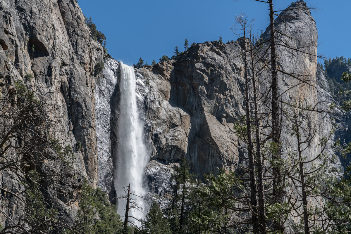 Тот самый водопад Bridal Veil. В этом году у невесты толстая фата: зима выдалась снежной, 
есть чему таять и питать водопад.