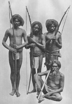 Ведды в начале XX в.