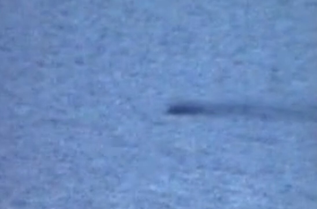 Кадр из видео Гордона Холмса