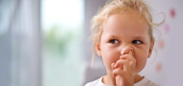 Главной причиной того, почему у ребенка идет кровь из носа, считается механическое повреждение внутренних отделов носовой полости. Слизистая оболочка последней буквально испещрена капиллярами, способными лопаться при сильном воздействии (ковырянии).
 
 Когда появляется у ребенка кровь из носа, причины также могут заключаться: