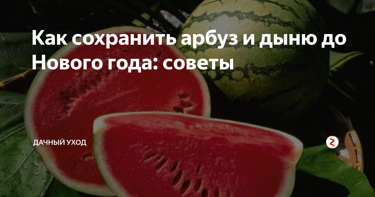 долежит ли арбуз до нового года