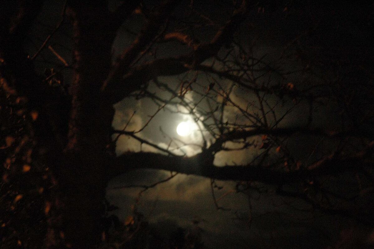 https://commons.wikimedia.org/wiki/File:Ghost_light.JPG