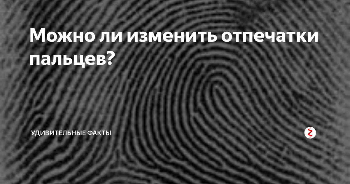 Можно ли изменить отпечатки пальцев? | Удивительные факты | Дзен