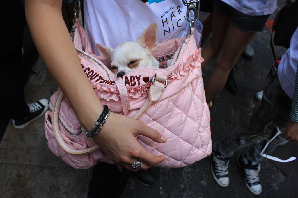 Розовая сумка - розовые сны.