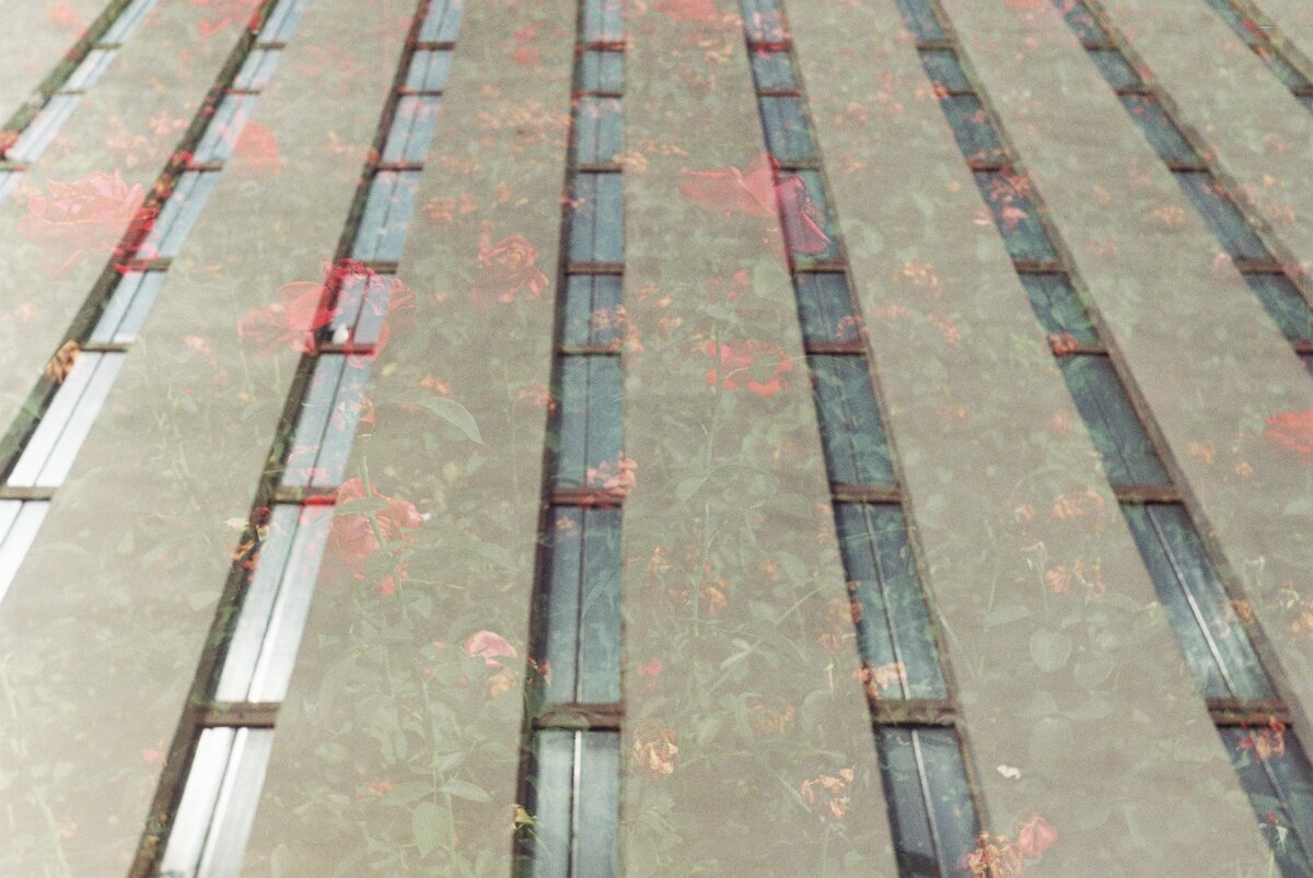 Луганск. ФЭД-2. Kodak ColorPlus-200.