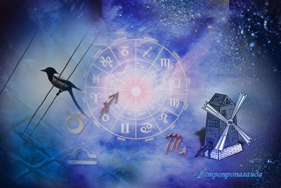 Коллаж Нины Стрелковой. 