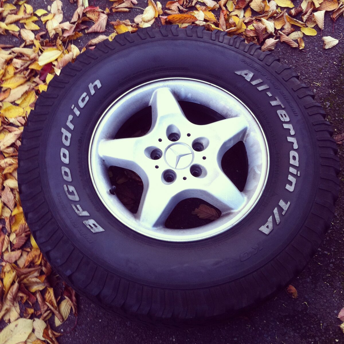 All Terrain Wapster/www.flickr.com/CC0