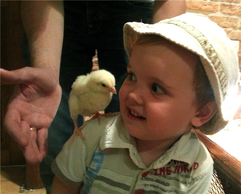 Сёма обожает животных, добряк, каких свет не видывал))